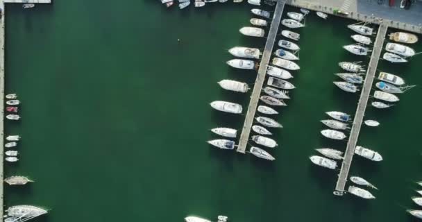 Вид Воздуха Лодку Пришвартованную Гавани — стоковое видео