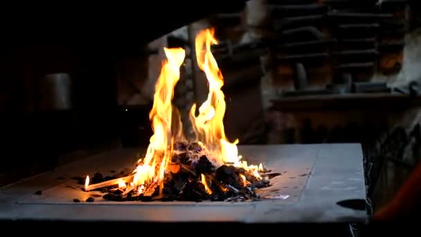 워크숍에서 모닥불의 클로즈업 — 비디오