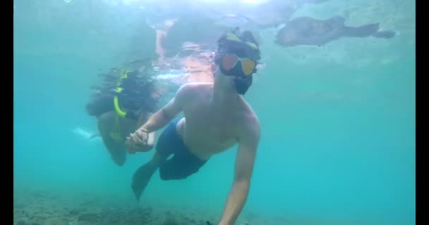 Casal Romântico Snorkeling Subaquático Mar Turquesa — Vídeo de Stock