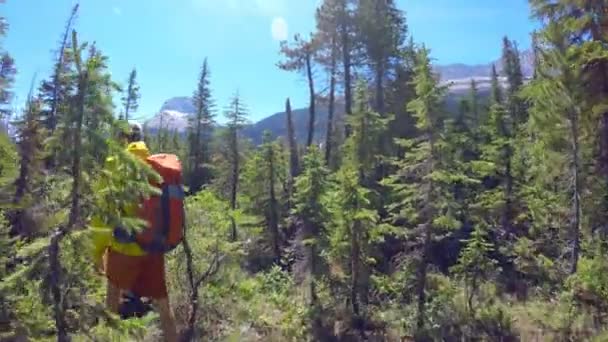 Vue Arrière Randonnée Couple Montagne — Video