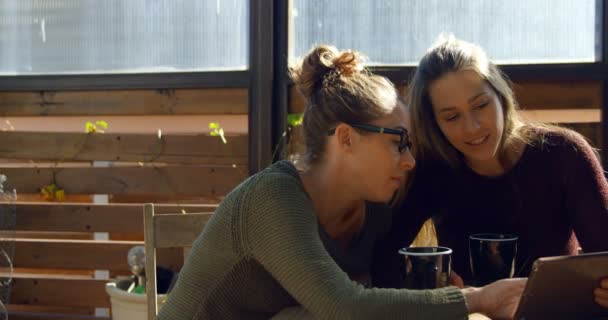 Happy Lesbian Couple Interacting Each Other Cafe — Stock Video