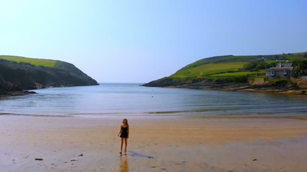 Aerial View Woman Walking Beach — Stock Video