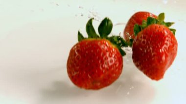 Beyaz arka plan 4 k su düşen çilek Close-up