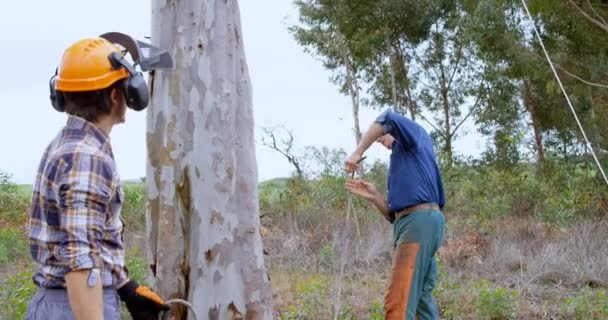 Dřevorubci Pracující Lese Venkově — Stock video