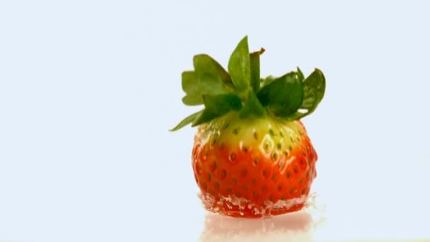 Nahaufnahme Von Erdbeeren Die Auf Wasser Fallen Vor Weißem Hintergrund — Stockvideo