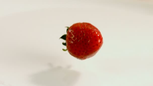 Gros Plan Fraise Tombant Sur Eau Sur Fond Blanc — Video