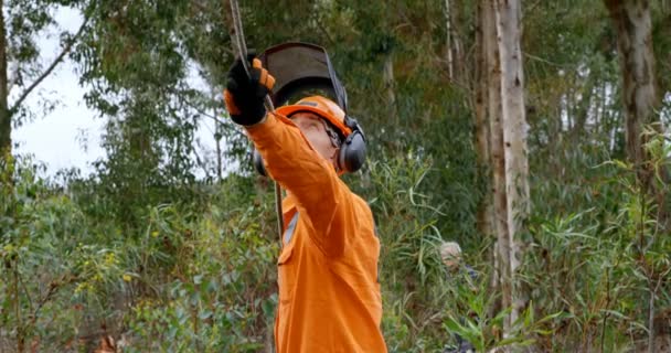 Madera Que Trabaja Bosque Campo — Vídeo de stock