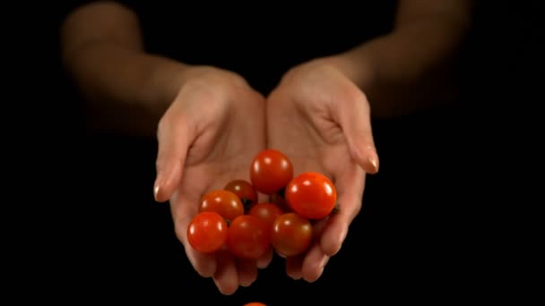 Handen Gieten Tomaten Tegen Zwarte Achtergrond — Stockvideo