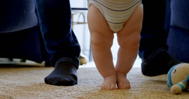 Father Helping His Baby Boy Walk Living Room Home — Stock Video