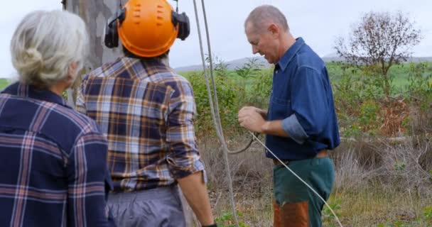 Houthakkers Werken Bos Platteland — Stockvideo