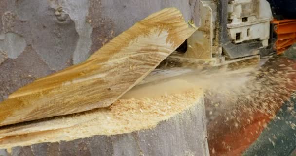 Primo Piano Del Taglialegna Con Tronco Albero Motosega Nella Foresta — Video Stock