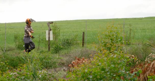 Vista Lateral Del Leñador Caminando Campo Verde — Vídeos de Stock