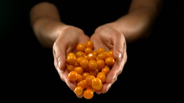 Hands Pouring Goldenberries Black Background — Stock Video