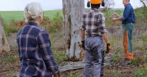 Maderas Que Trabajan Bosque Campo — Vídeo de stock