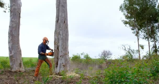伐木工人的侧视图与链锯切割树树干4K — 图库视频影像