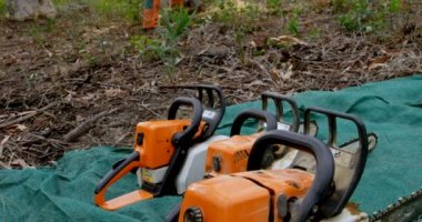 Oduncu testere kesme ağaç gövdesi 4k ile arka görünümü