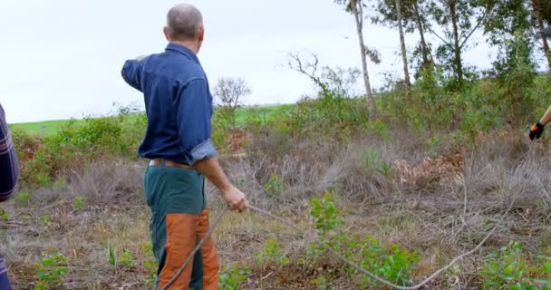 Лісоруби Працюють Лісі Сільській Місцевості — стокове відео