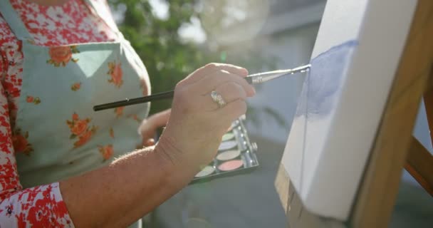 Ενότητα Μέσα Από Ανώτερους Γυναίκα Ζωγραφική Καμβά Στον Κήπο — Αρχείο Βίντεο