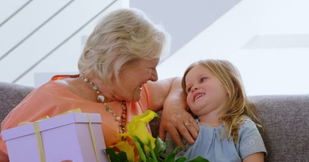 Grandmother Playing Her Grand Daughter Home — Stock Video