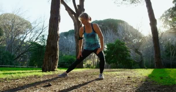 Mulher Sênior Ativa Exercitando Parque — Vídeo de Stock