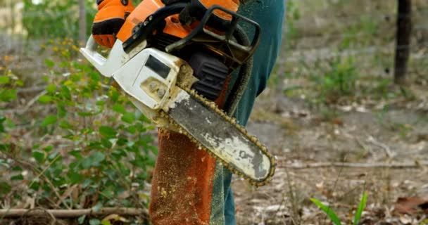 Holzfäller Hält Kettensäge Wald — Stockvideo