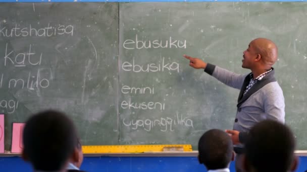 Insegnante Sesso Maschile Che Insegna Agli Studenti Della Classe Scuola — Video Stock