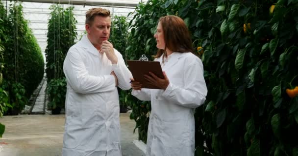 Two Scientists Looking Clipboard Greenhouse — Stock Video