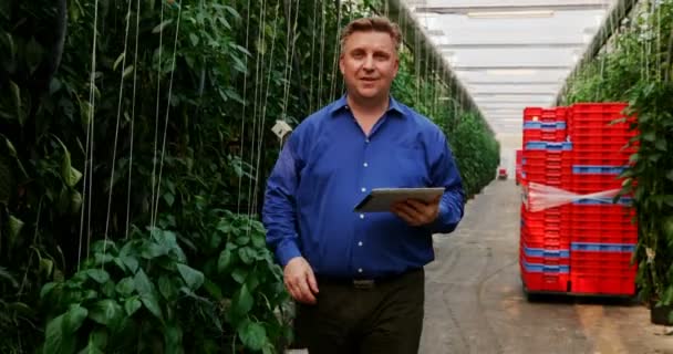 Mężczyzna Naukowiec Cyfrowego Tabletu Badając Rośliny Szklarni — Wideo stockowe