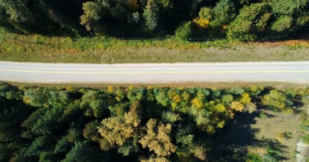 农村4K 公路车辆行驶的鸟图 — 图库视频影像
