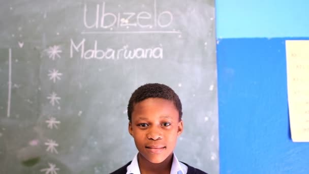 Uczniak Uśmiechający Się Patrząc Kamery Klasie Szkole — Wideo stockowe