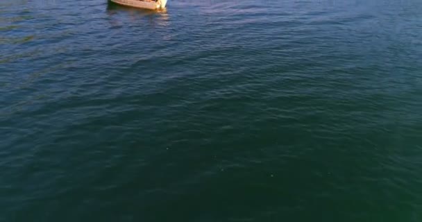 Vue Aérienne Des Touristes Pêchant Sur Bateau Dans Rivière — Video