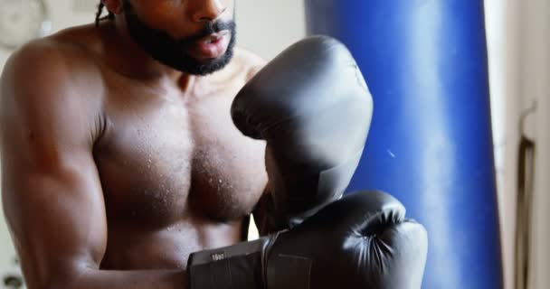 フィットネス スタジオ で積極的な気分の男性ボクサーの肖像画 — ストック動画