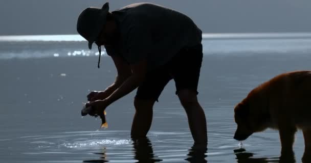 Рибалка Прибирає Мертву Рибу Річці Сільській Місцевості — стокове відео