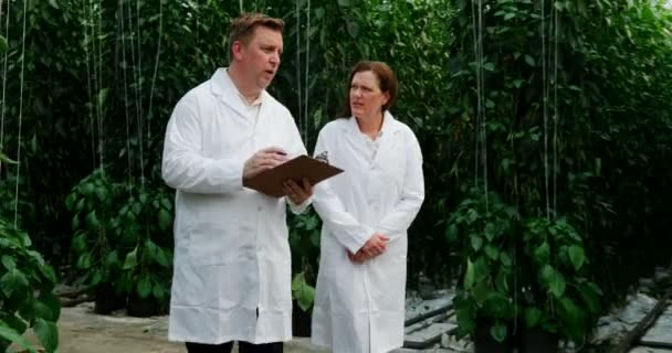 Two Scientists Examining Plants Greenhouse — Stock Video