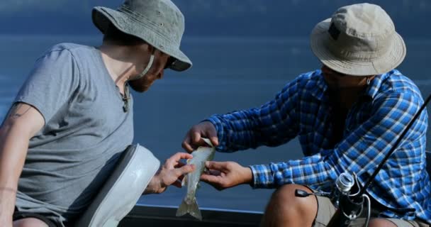 Δύο Ψαράδες Που Κατέχουν Ψάρια Ψαρεύοντας Στο Ποτάμι Ύπαιθρο — Αρχείο Βίντεο