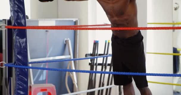 Boxeador Masculino Relajándose Ring Boxeo Gimnasio — Vídeos de Stock