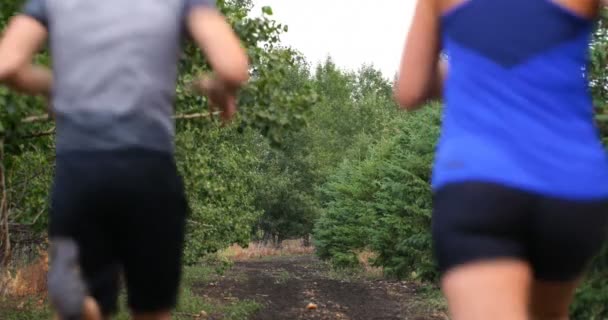 Orman Yolu Üzerinde Koşu Joggers Arkadan Görünüş — Stok video