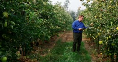 Adam dijital tablet alan 4 k bitkilerde incelenmesi ile