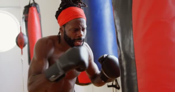 Focado Boxeador Masculino Praticando Boxe Estúdio Fitness — Vídeo de Stock
