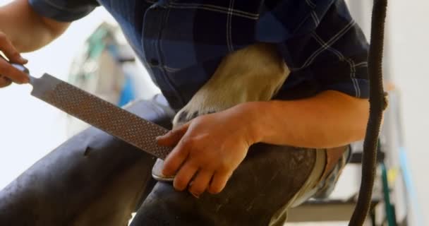 Närbild Kvinna Mitten Avsnittet Polering Hästsko Stabil Medan Håller Hästen — Stockvideo