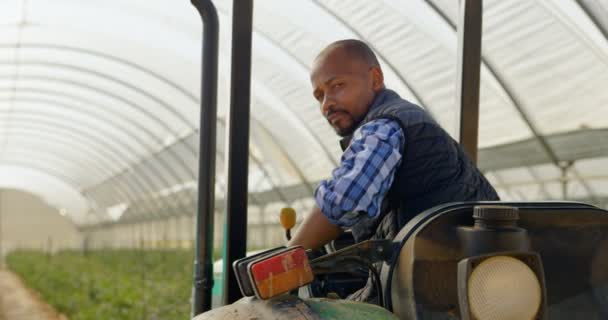 ブルーベリー農園にカメラ見て民族男 トラクターの上に座っての背面 スローモーションで — ストック動画