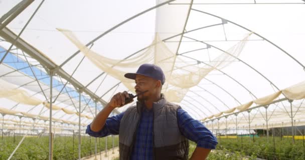 Vista Frontal Hombre Raza Mixta Enfocado Hablando Walky Talky Invernadero — Vídeos de Stock