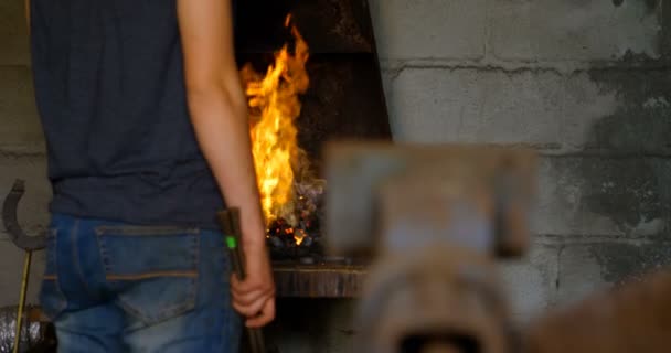 Rückansicht Einer Jungen Metallschmiedin Mit Kurzen Haaren Die Hufeisen Heizt — Stockvideo