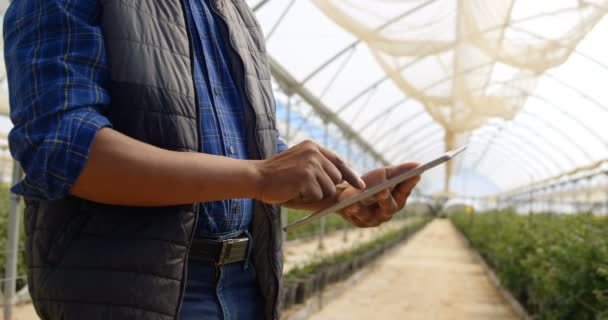 Vista Cerca Sección Media Del Hombre Étnico Utilizando Tableta Digital — Vídeo de stock