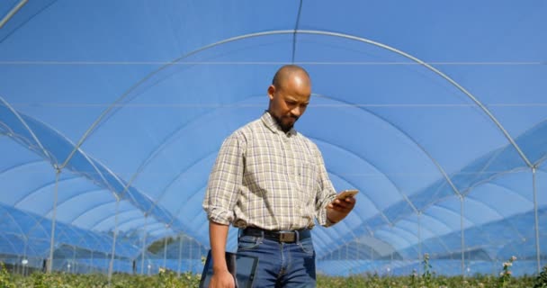 Framifrån Omtänksamma Man Använder Mobiltelefon Blåbärsfarm Blueberrie Farm Manager Håller — Stockvideo