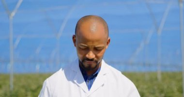 Blueberry çiftlik parlak mavi gökyüzü ile ayakta gülümseyen adam portresi. Yavaş çekimde