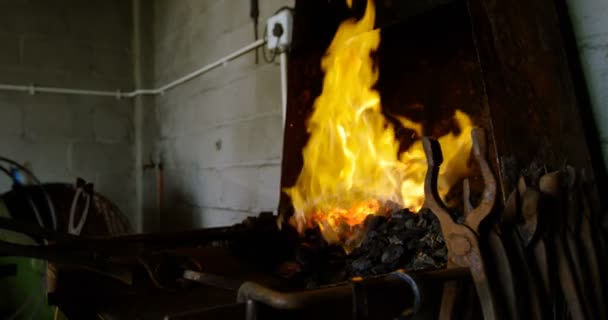 关闭女金属匠的手和工具加热马蹄铁在工厂的火 — 图库视频影像