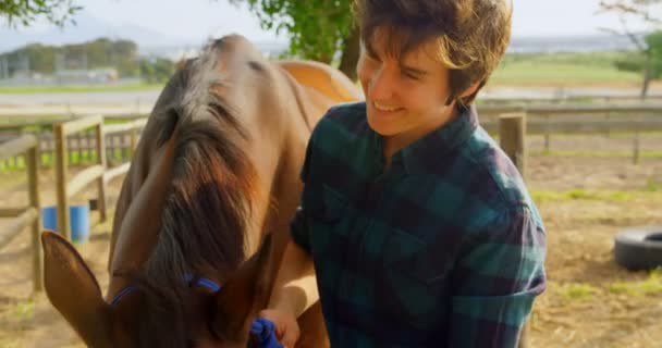 幸せな女の厩舎で馬をなでるをクローズ アップ 短い髪の女性抱きしめる馬 — ストック動画
