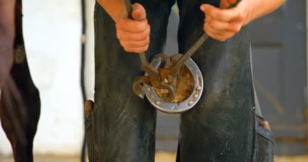 Primer Plano Mujer Posponiendo Herradura Pata Caballo Con Pinza Azulejo — Vídeos de Stock