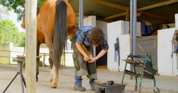 厩舎で馬足にホースシューを入れて若い女性鍛冶屋の正面図 — ストック動画